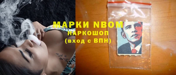 мдпв Горнозаводск