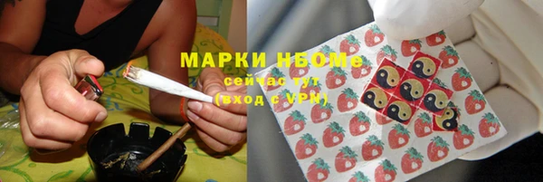 мдпв Горно-Алтайск