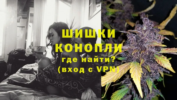мдпв Горнозаводск