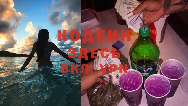 мдпв Горнозаводск