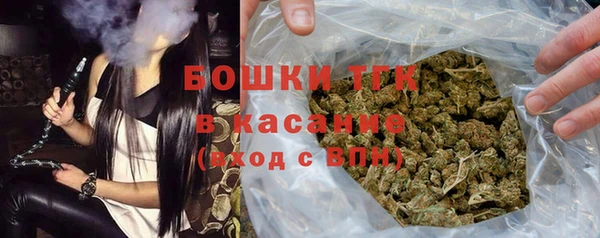 мдпв Горнозаводск