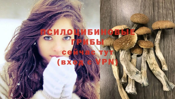 мдпв Горнозаводск