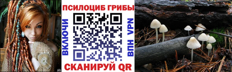 дарнет шоп  OMG   Псилоцибиновые грибы Psilocybine cubensis  Ярославль 
